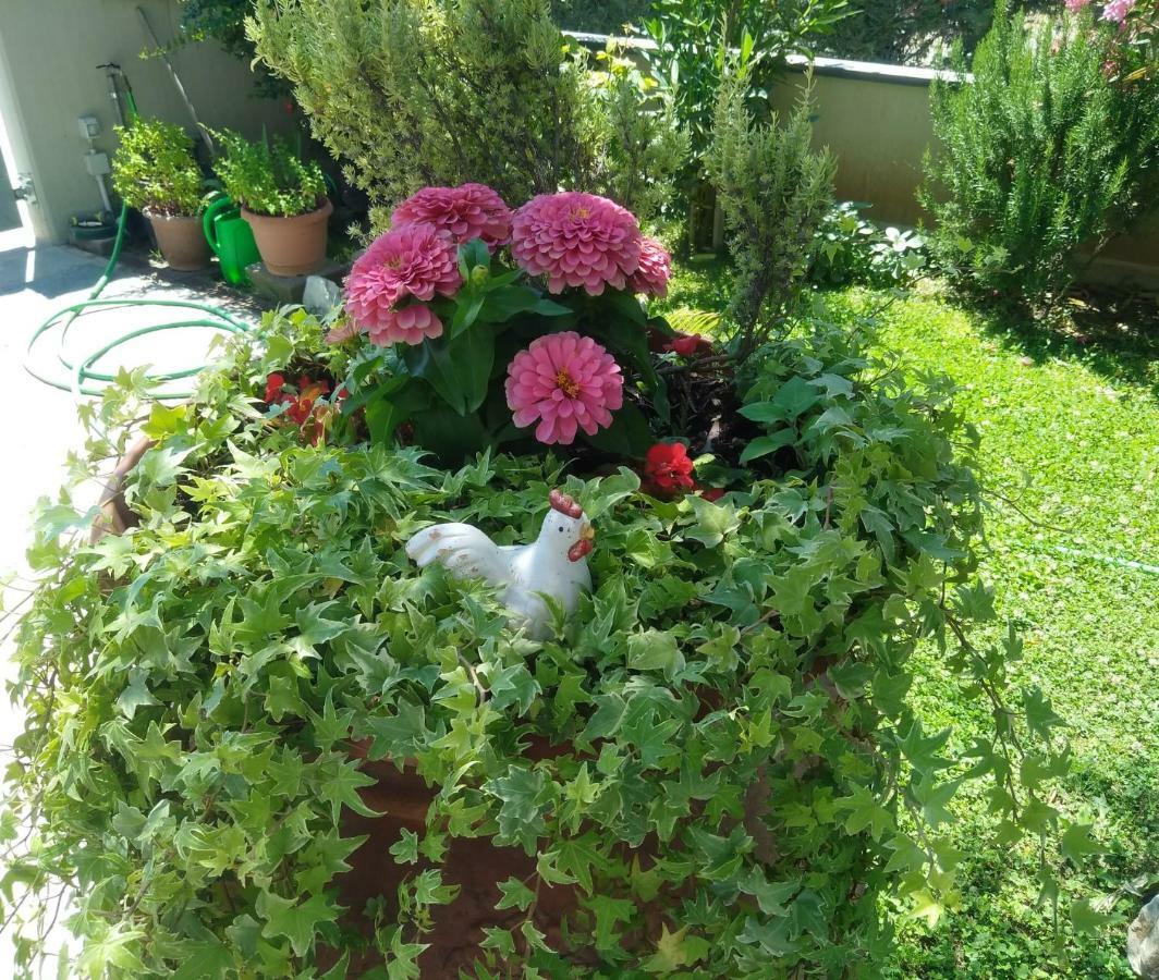 Appartamento Berlicche Agliana ภายนอก รูปภาพ